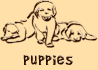 [puppies]